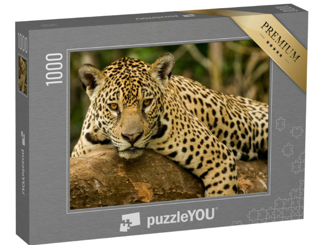 Puzzle 1000 Teile „Der Jaguar“
