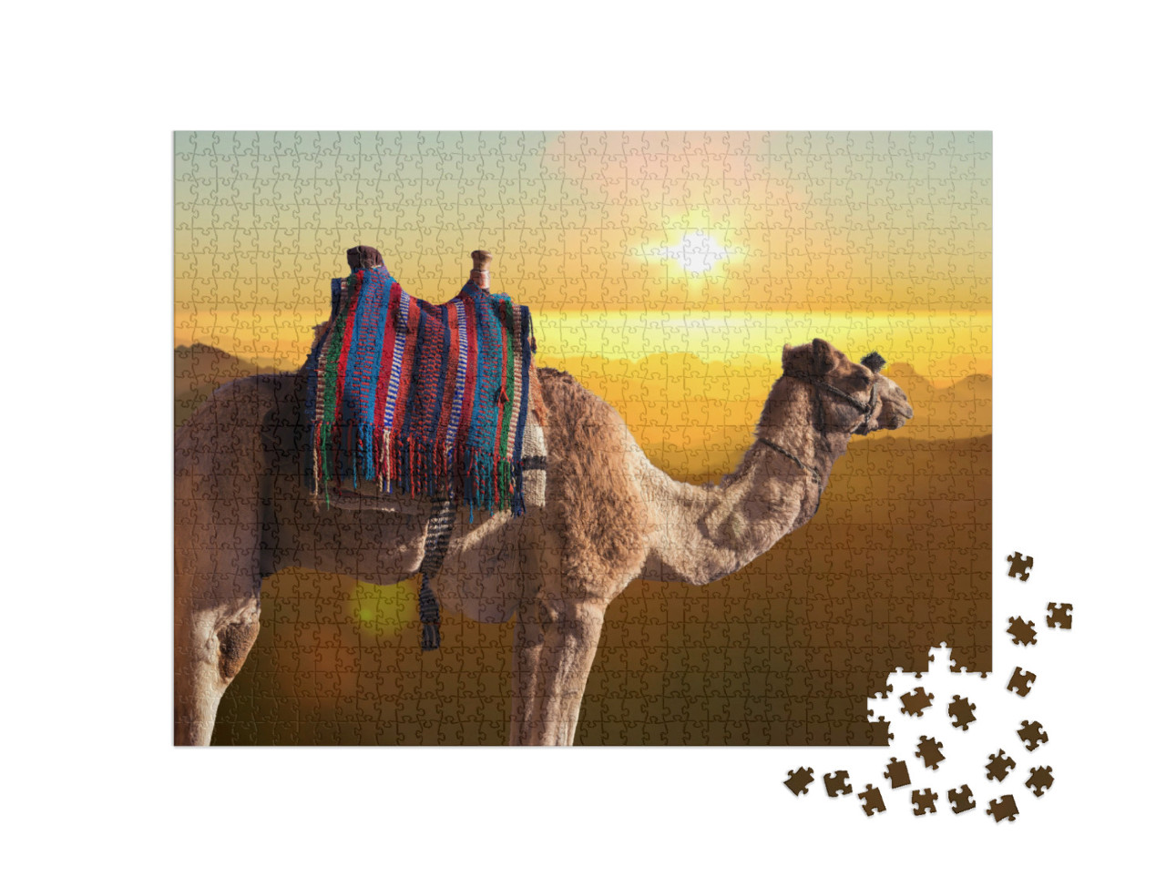 Puzzle 1000 Teile „Dromedar-Kamel vor dem Berges des heiligen Moses, Ägypten, Sinai“