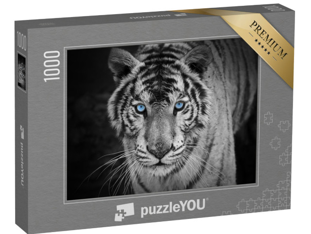 Puzzle 1000 Teile „Portrait eines weißen Tigers mit stechend blauen Augen“