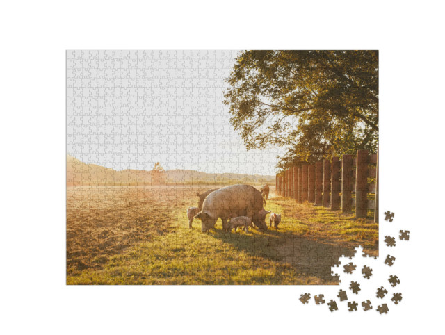 Puzzle 1000 Teile „Hausschwein mit Ferkelchen auf einer Wiese“