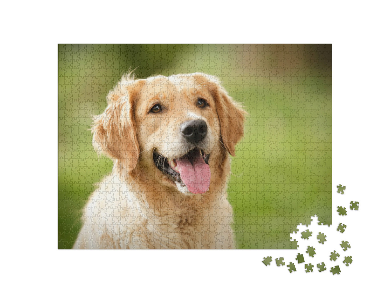 Puzzle 1000 Teile „Wunderschöne Nahaufnahme eines Golden Retrievers“