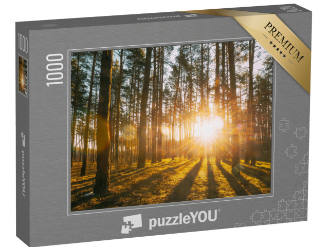 Puzzle 1000 Teile „Sonnenstrahlen im Wald“