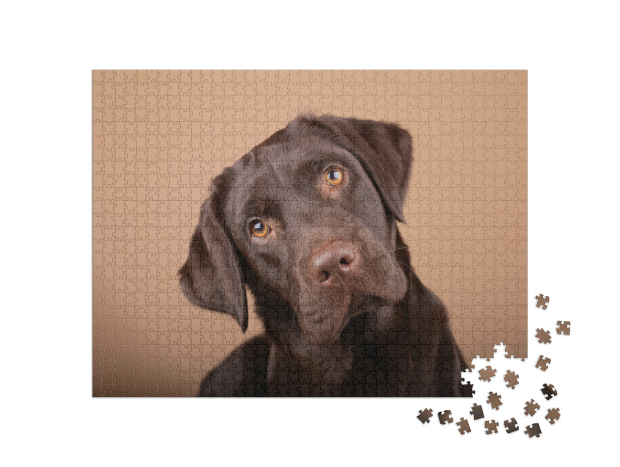 Puzzle 1000 Teile „Treuherziger Labrador-Welpe“