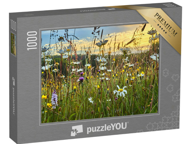 Puzzle 1000 Teile „Eine Wildblumenheuwiese im Sommer“