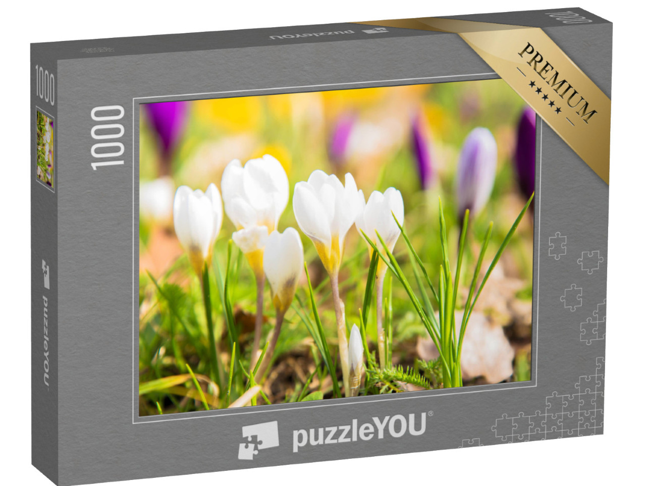 Puzzle 1000 Teile „Die ersten Krokusse“