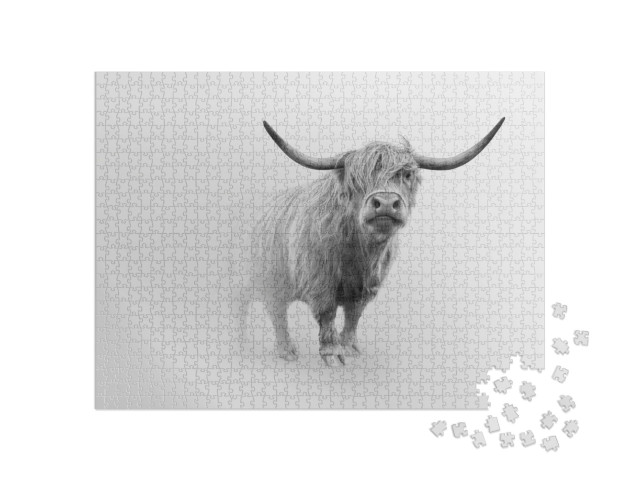 Puzzle 1000 Teile „Schottisches Hochlandrind mit Kalb“