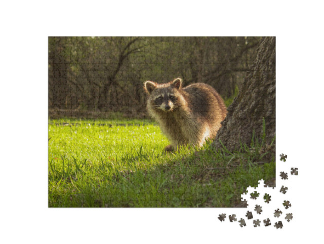 Puzzle 1000 Teile „Kleiner Waschbär schaut neugierig hinter einem Baum hervor“