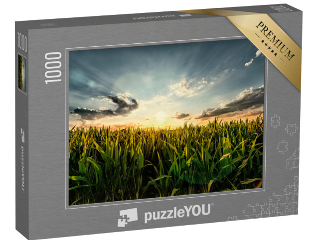 Puzzle 1000 Teile „Maisfeld im Sonnenuntergang“