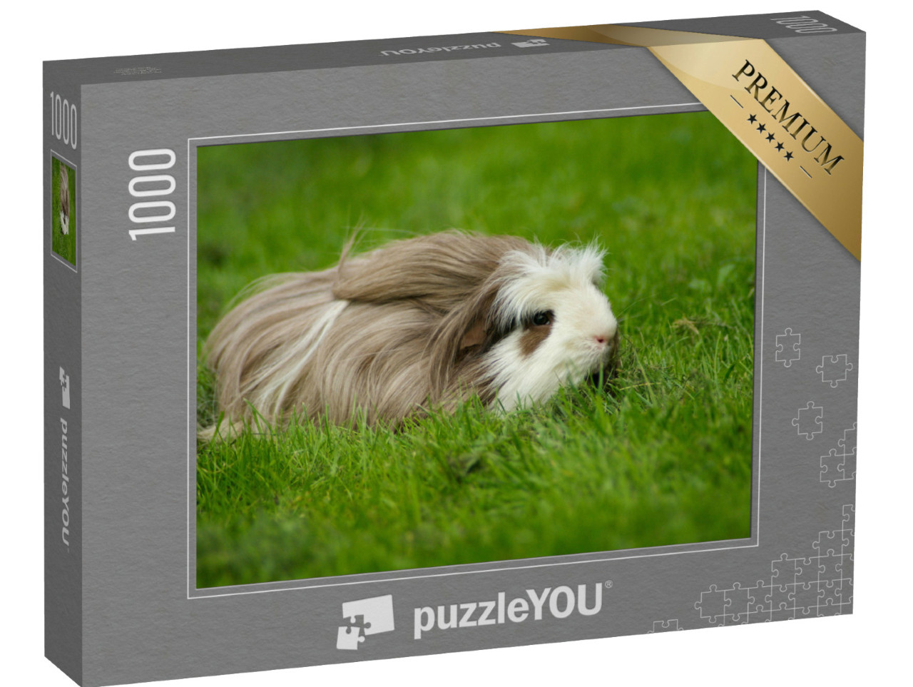 Puzzle 1000 Teile „Meerschweinchen, langhaarig mit Kamm“