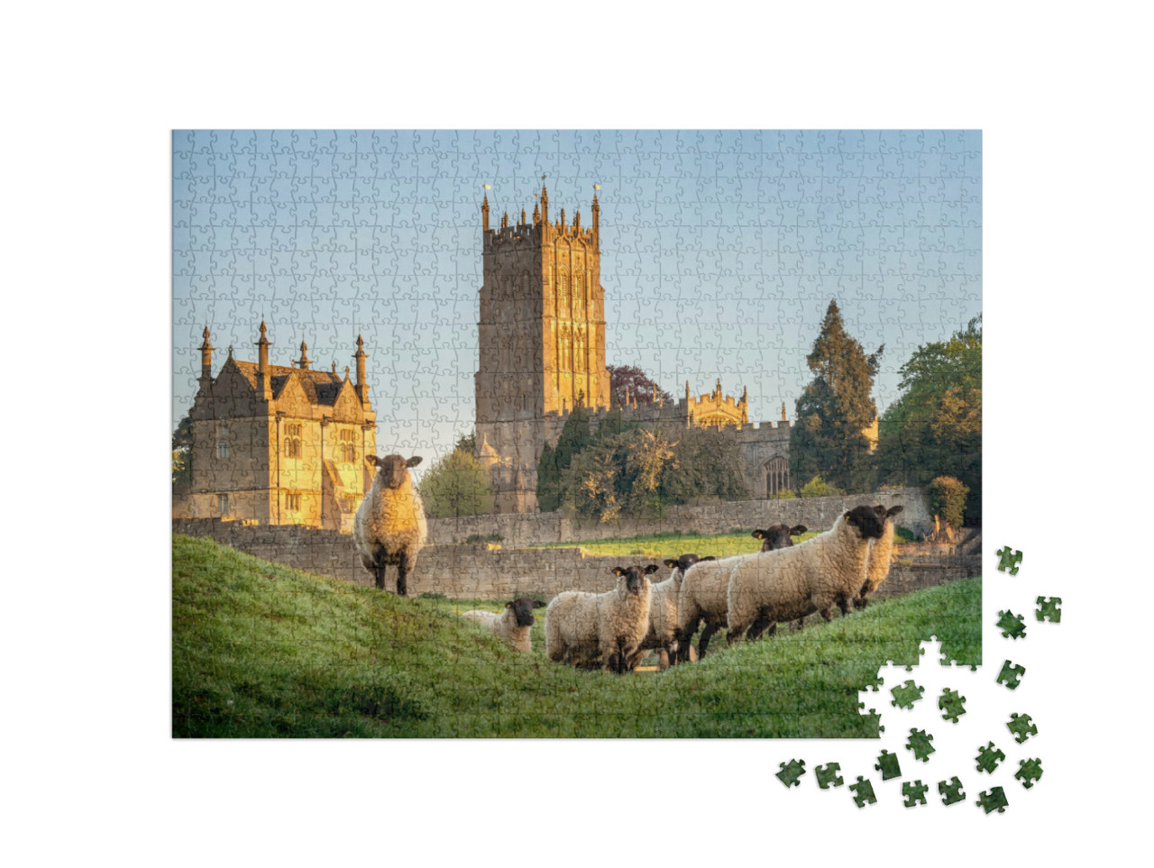 Puzzle 1000 Teile „Cotswold Schafe in der Nähe von Chipping Campden in Gloucestershire“