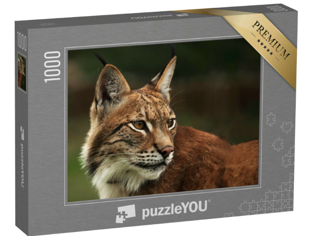 Puzzle 1000 Teile „Aufmerksamer Eurasischer Luchs“