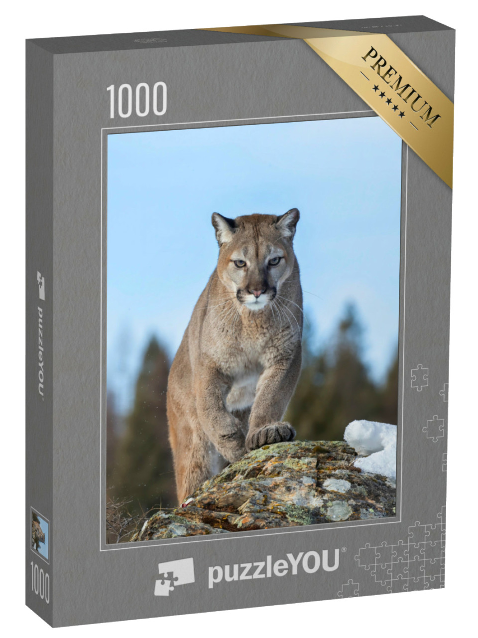 Puzzle 1000 Teile „Puma oder Berglöwe im Winter von Montana, USA“