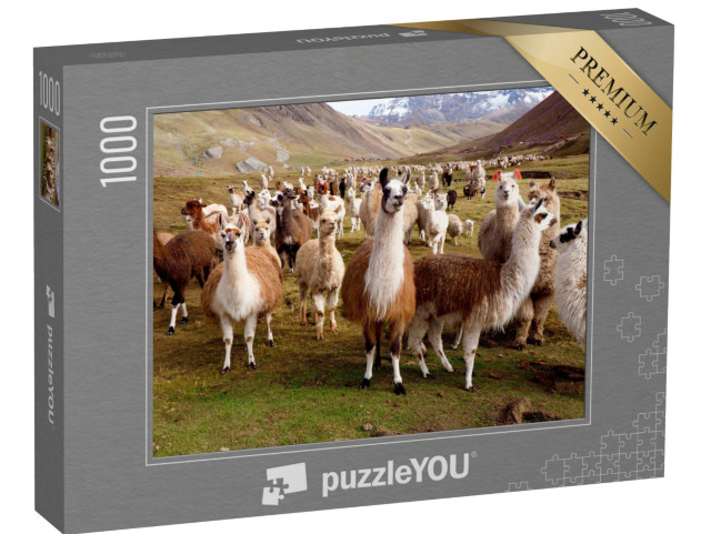 Puzzle 1000 Teile „Llamas und Alpakas von Peru“