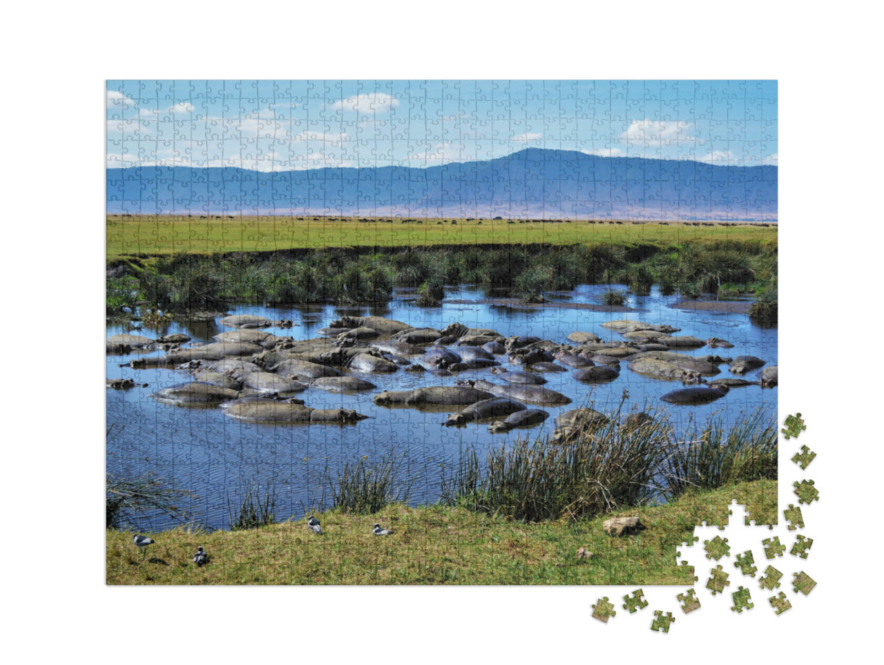 Puzzle 1000 Teile XXL „Nilpferdbecken, Ngorongoro-Krater, Tansania“