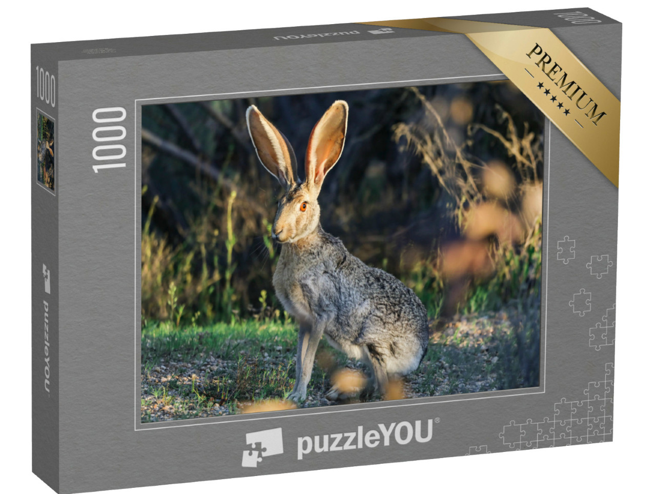Puzzle 1000 Teile „Arizona Jack Rabbit in der Wüste“