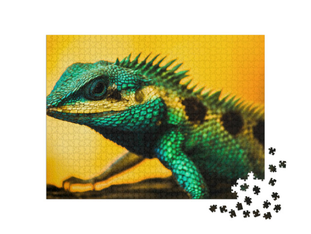 Puzzle 1000 Teile „Eidechse Wasserdrache“
