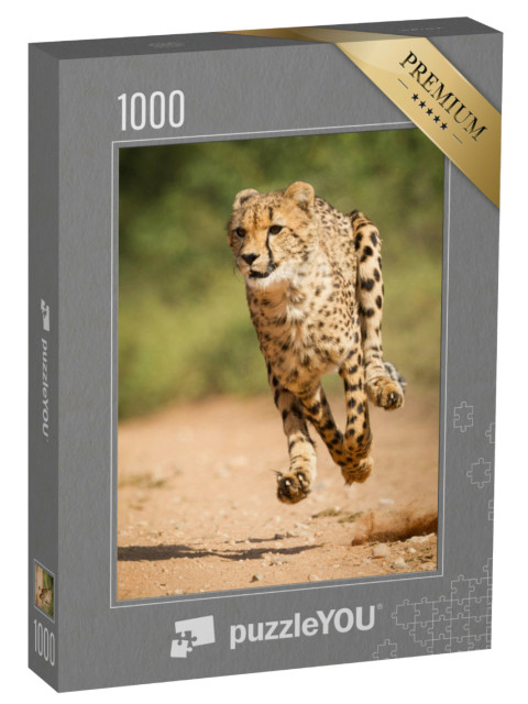 Puzzle 1000 Teile „Schneller Gepard, Kruger Park, Südfrika“