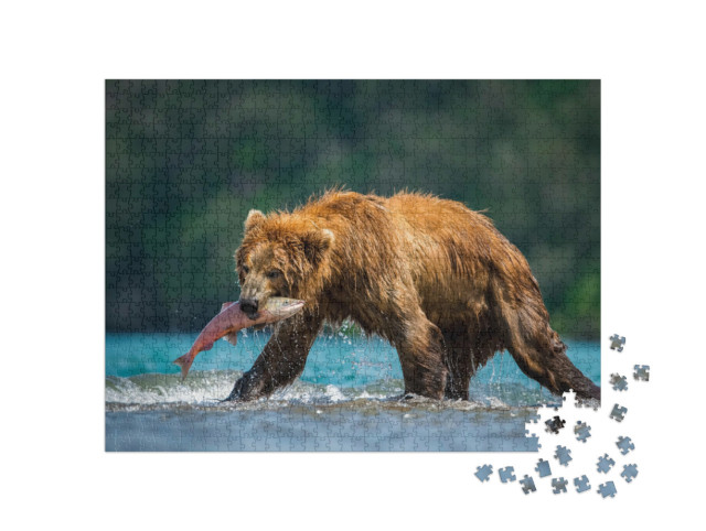 Puzzle 1000 Teile „Kamtschatka-Braunbär fängt Lachse am Kurilensee, Kamtschatka“