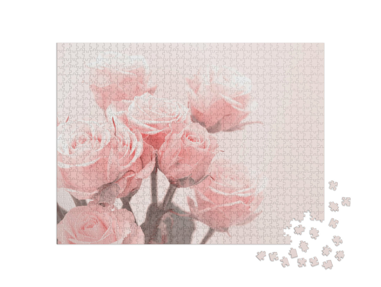 Puzzle 1000 Teile „Zartrosa Rosen in weichem Licht“