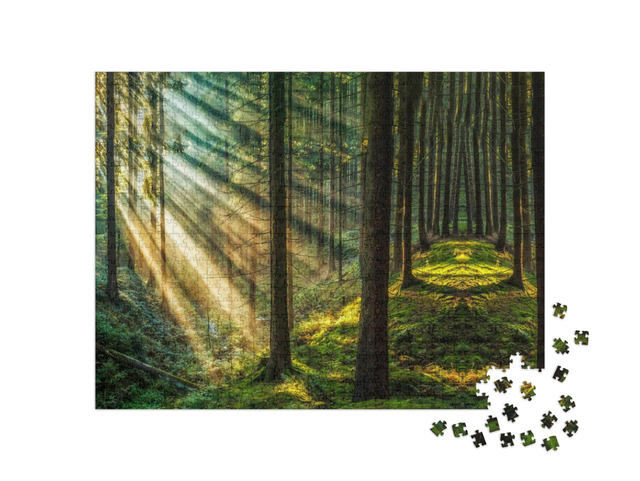 Puzzle 1000 Teile „Dunkler Wald mit Sonnenstrahlen “
