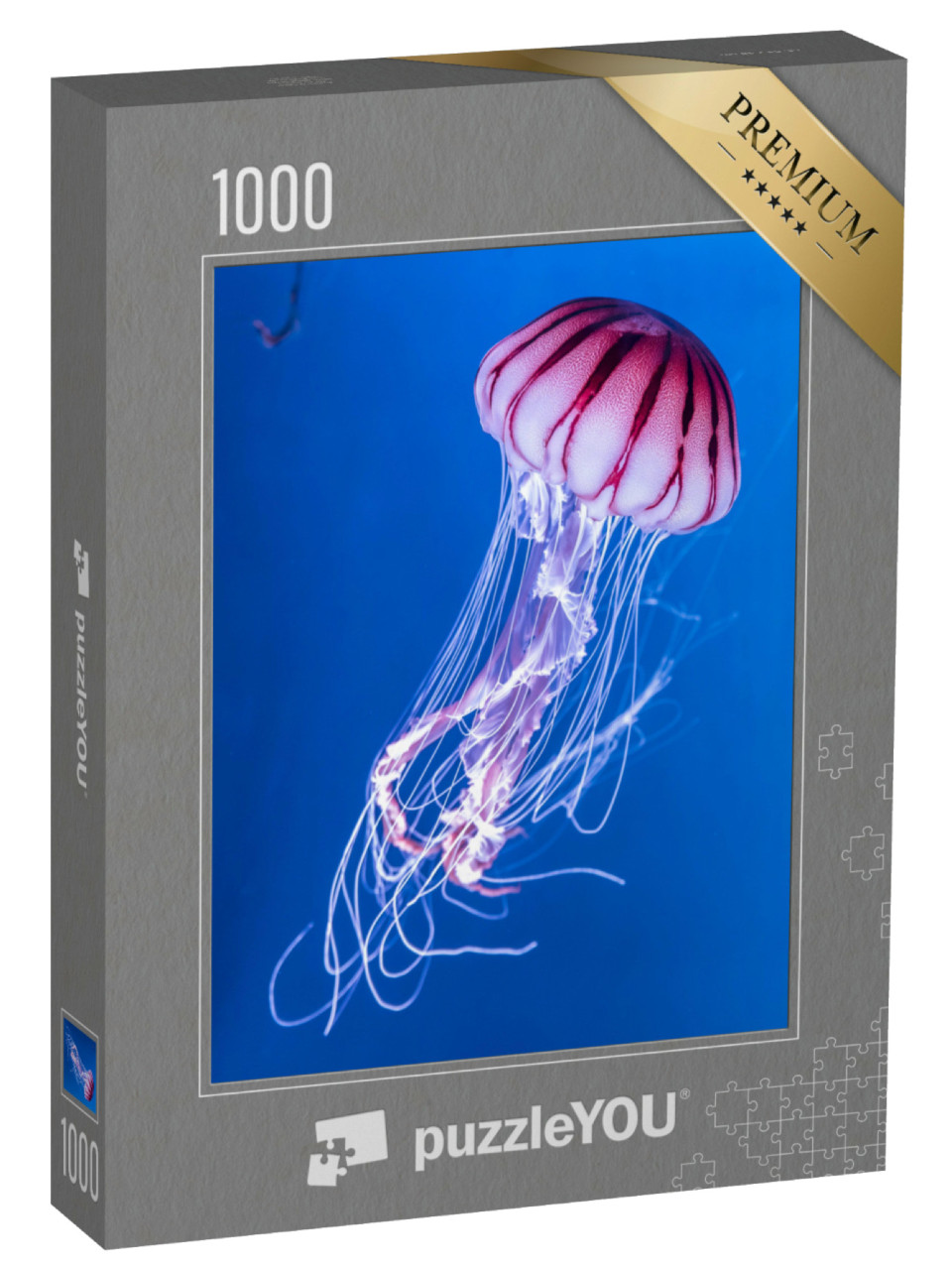 Puzzle 1000 Teile „Die Pazifische Seenessel“