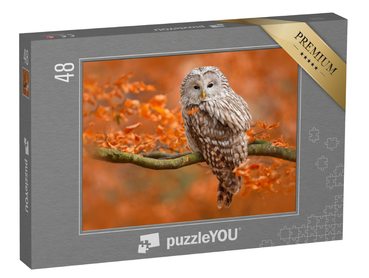 Puzzle 48 Teile „Herbstaufnahme mit Eule, Uralkauz, sitzt auf Ast im Eichenwald, Norwegen“