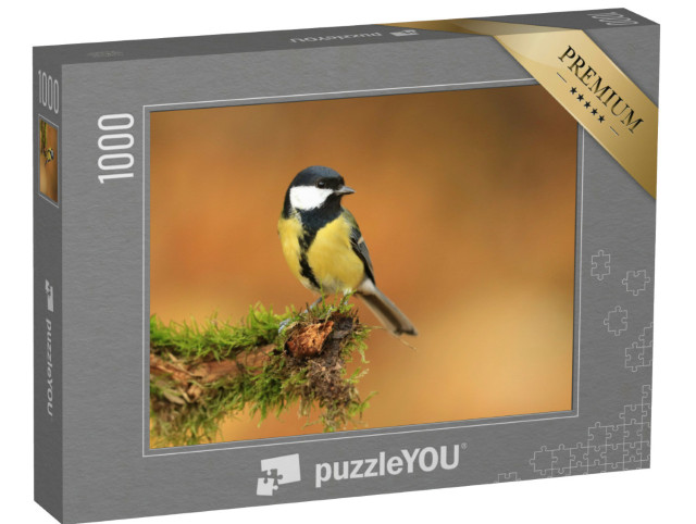 Puzzle 1000 Teile „Kleine Kohlmeise auf einem moosbedeckten Zweig“