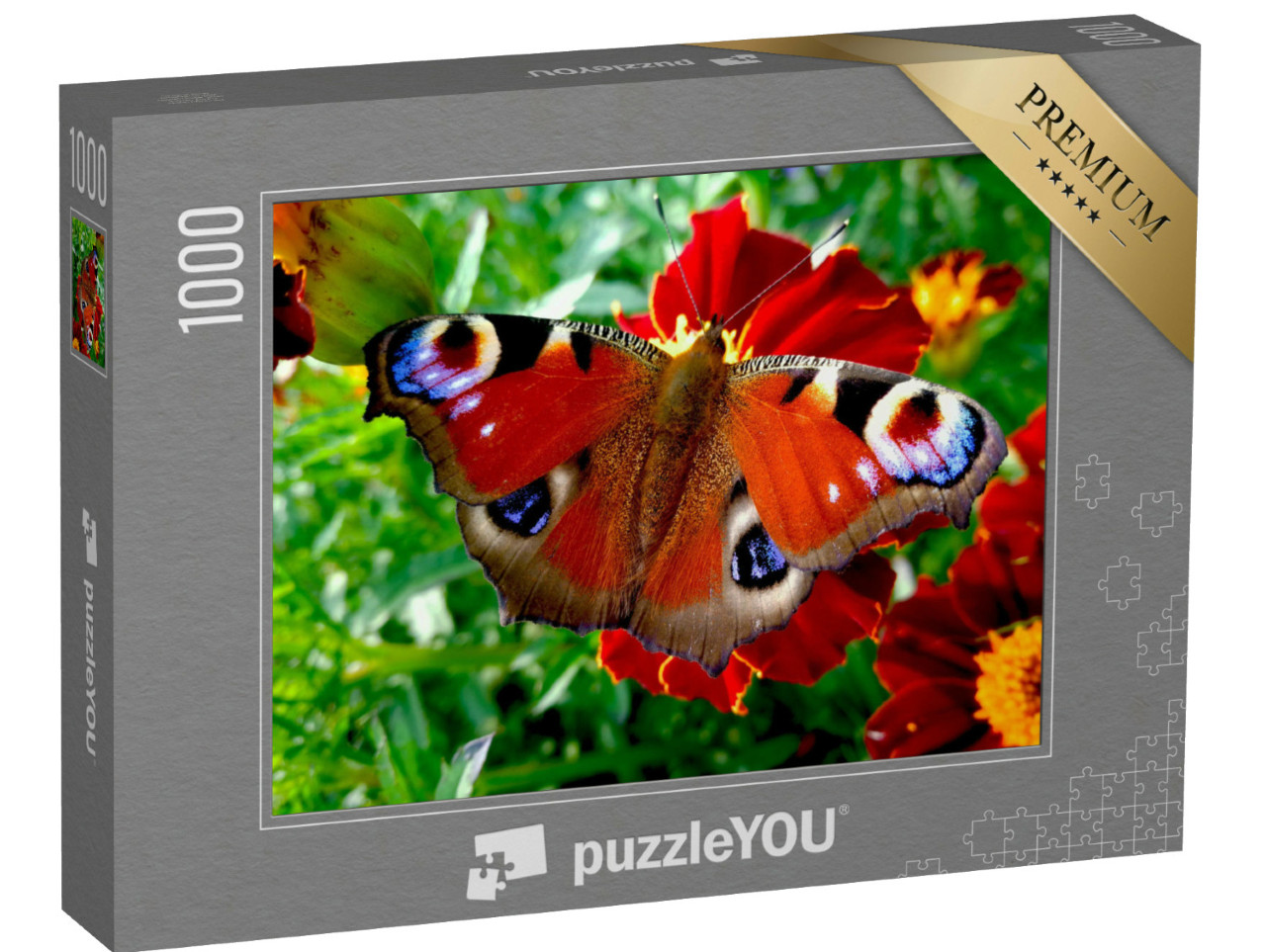 Puzzle 1000 Teile „Tagpfauenauge auf einer roten Blüte“
