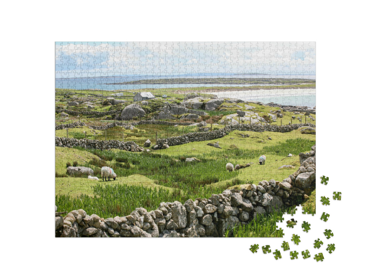 Puzzle 1000 Teile „Irische Steinmauern an der Küste“