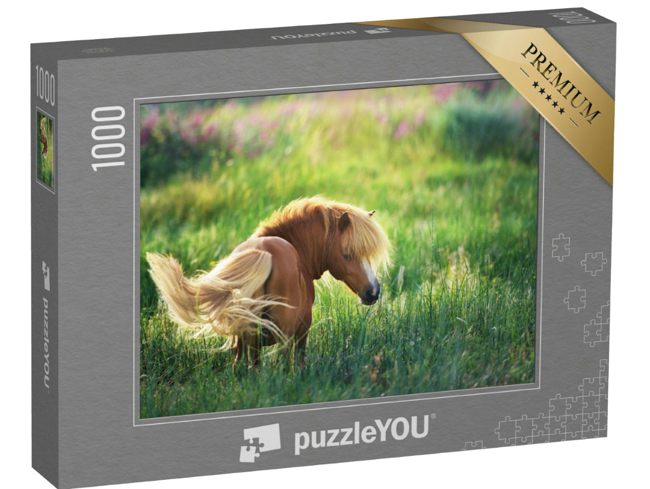 Puzzle 1000 Teile „Shetlandpony auf grüner Sommerweide“