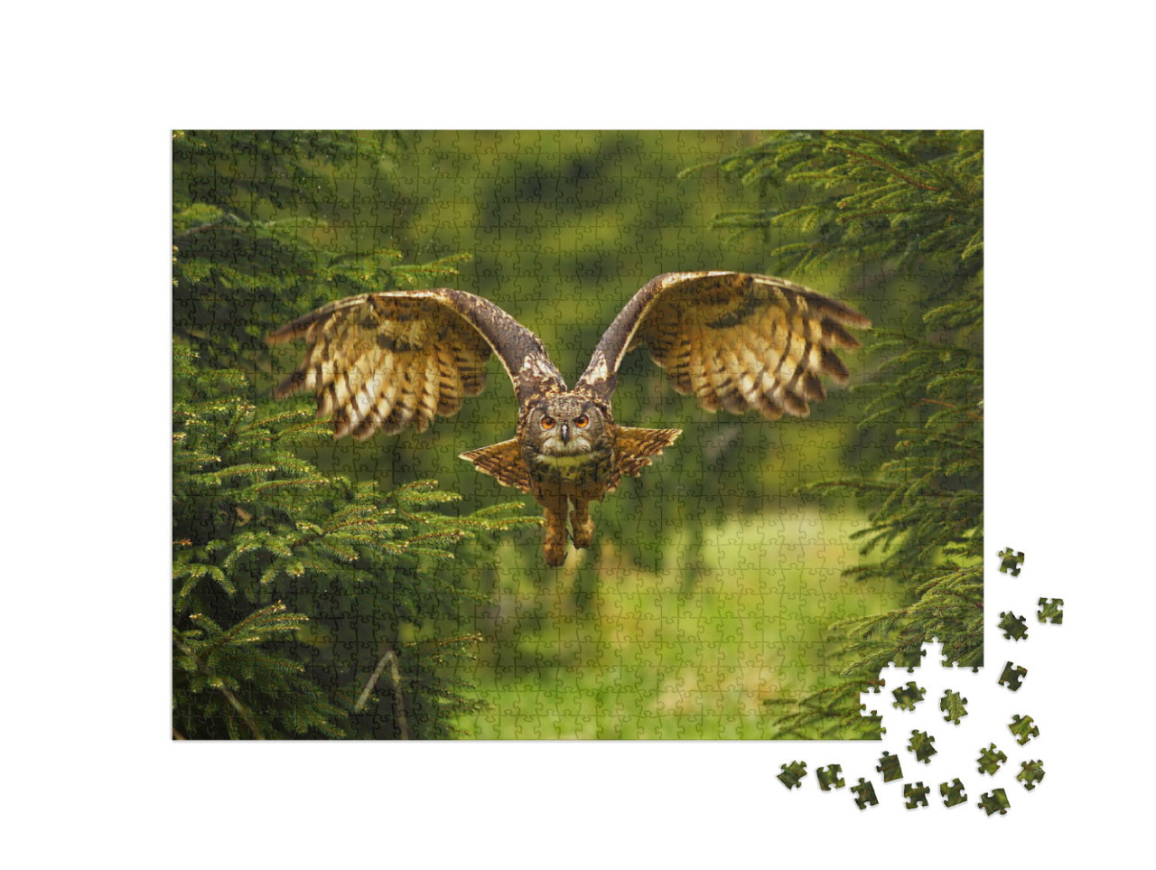 Puzzle 1000 Teile „Foto eines fliegenden Uhus“
