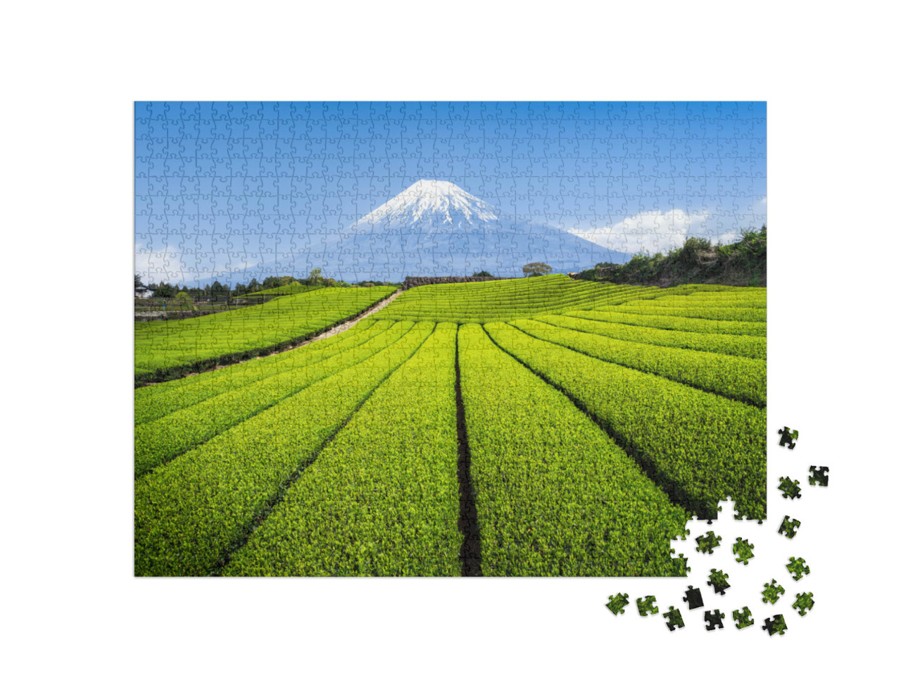 Puzzle 1000 Teile „Berg Fuji mit grüner Teeplantage, Präfektur Shizuoka, Japan“