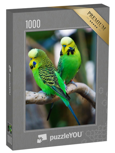 Puzzle 1000 Teile „Zwei Wellensittiche sitzen auf einem Ast“