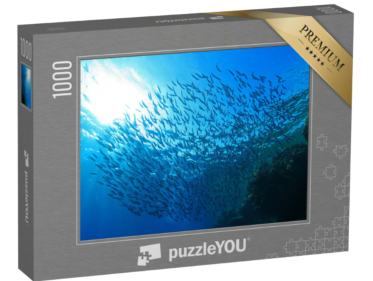 Puzzle 1000 Teile „Schwarm kleiner Fische in der Nähe eines Korallenriffs im Roten Meer“