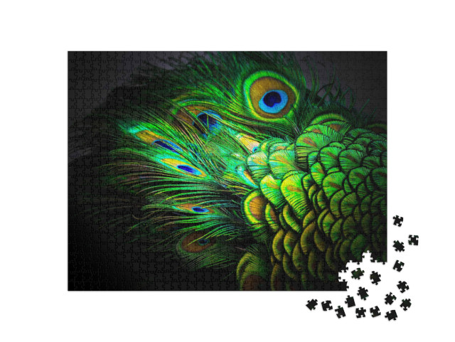Puzzle 1000 Teile „Pfauenfedern“