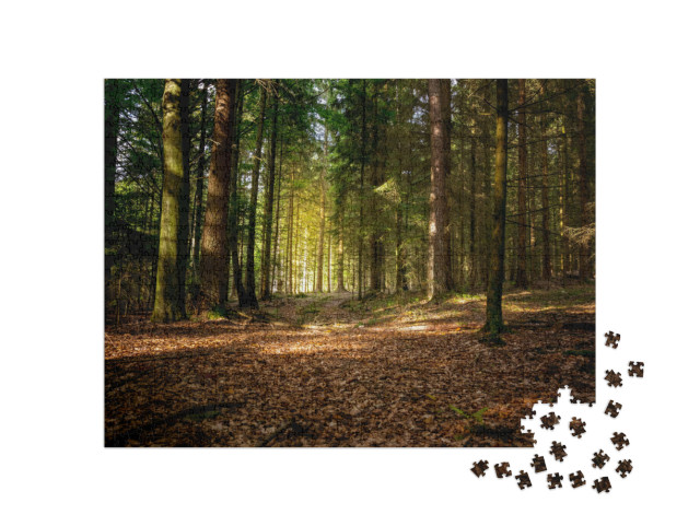 Puzzle 1000 Teile „Herbstsonne im bayerischen Wald, Deutschland“