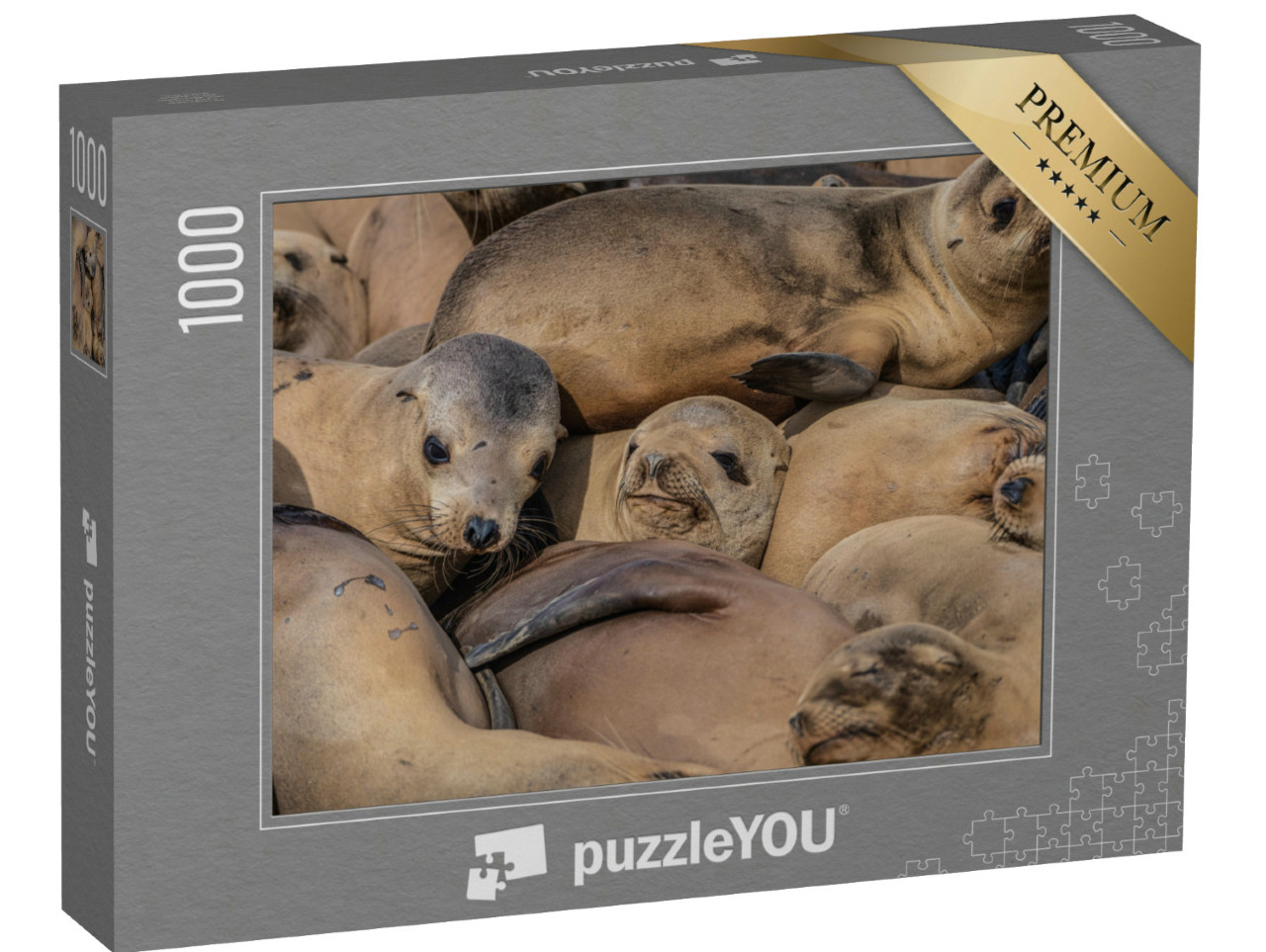 Puzzle 1000 Teile „Eine dichtgedrängte Herde schlafender Robben“