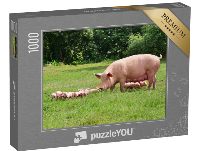 Puzzle 1000 Teile „Muttersau mit Ferkeln auf einer grünen Wiese“