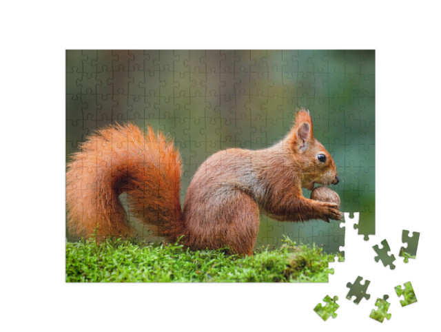 Puzzle 200 Teile „Ein rotes Eichhörnchen frisst eine Nuss auf einem Moosstamm“