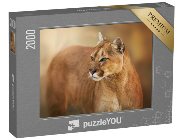 Puzzle 2000 Teile „Puma mit grünen Augen“