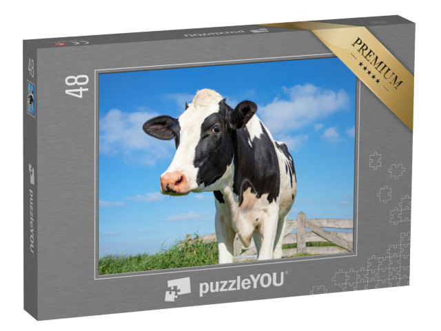 Puzzle 48 Teile „Auge in Auge mit einer Kuh“