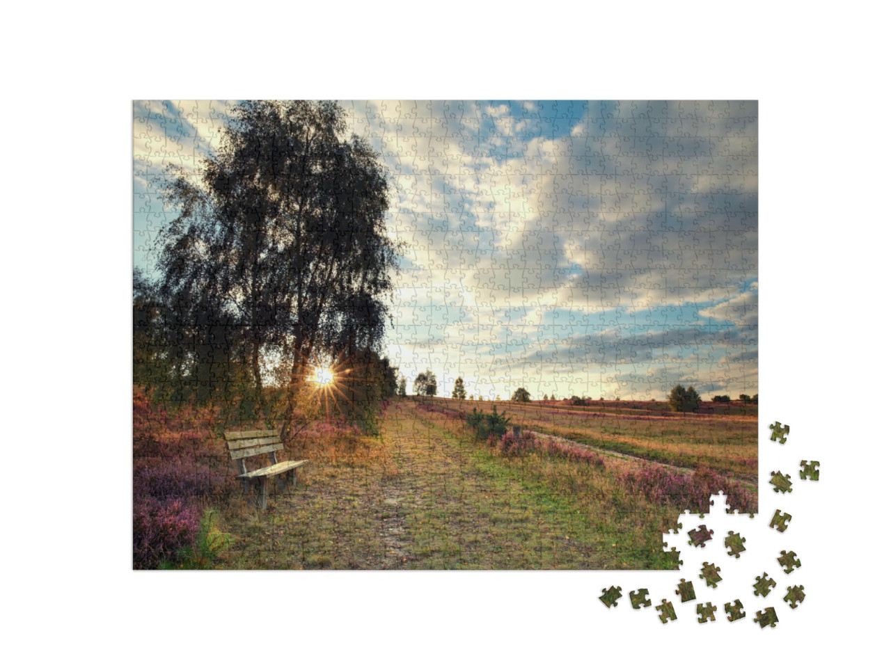Puzzle 1000 Teile „Eine Bank im Sonnenschein: Lüneburger Heide, Niedersachsen“