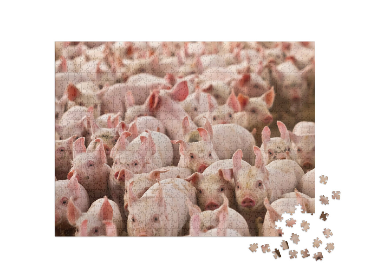 Puzzle 1000 Teile „Viele kleine Ferkelchen“