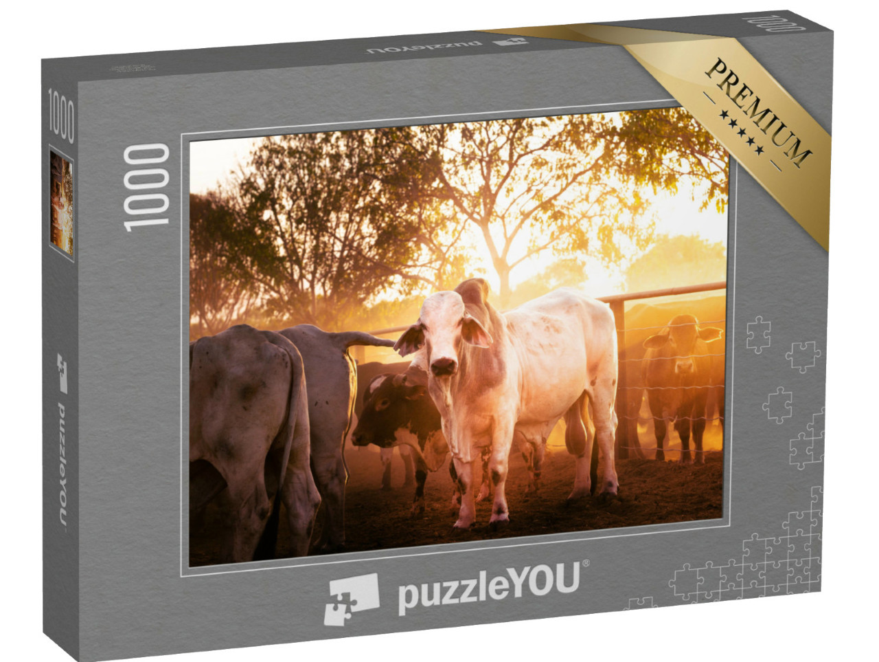 Puzzle 1000 Teile „Jungbullen im Gehege, Northern Territory in Australien“