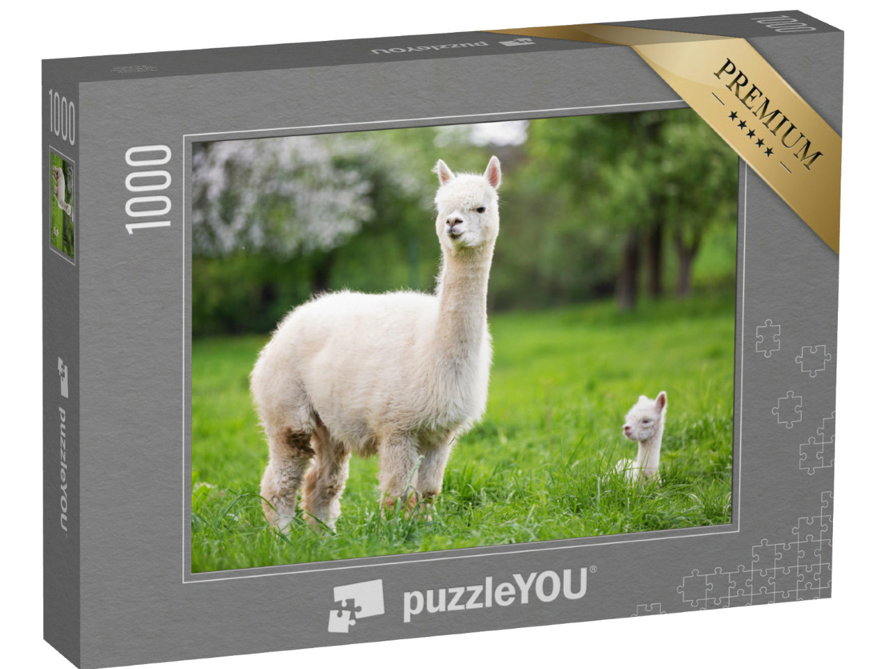 Puzzle 1000 Teile „Ein weißes Alpaka mit Jungtieren“