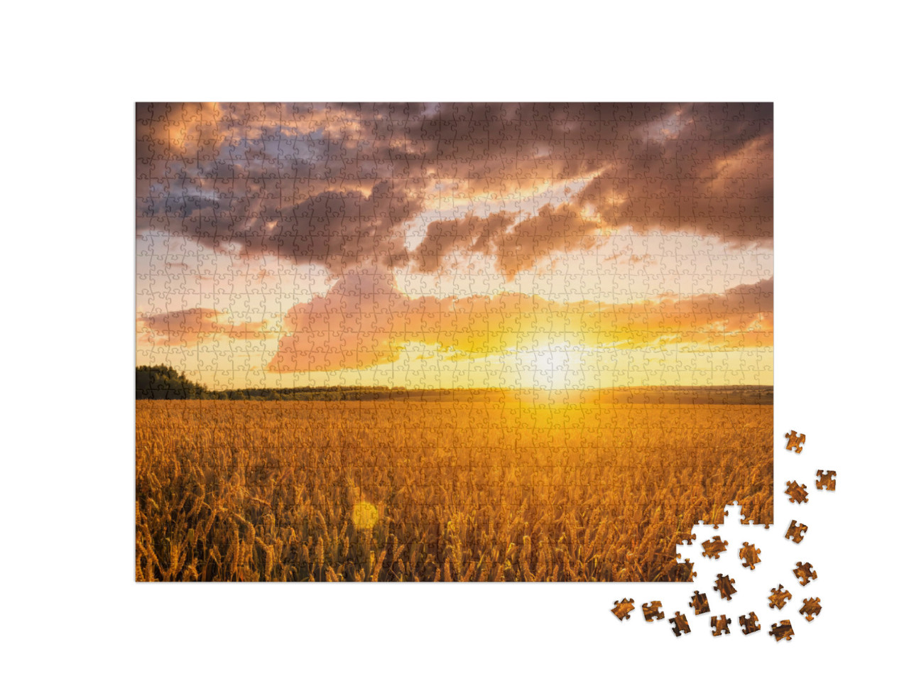 Puzzle 1000 Teile „Sonnenuntergang über einem Weizenfeld im Sommer“