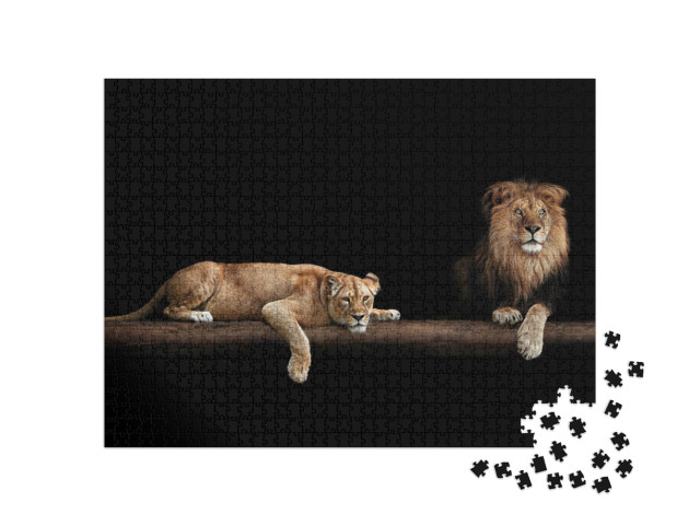 Puzzle 1000 Teile „Löwe und Löwin“