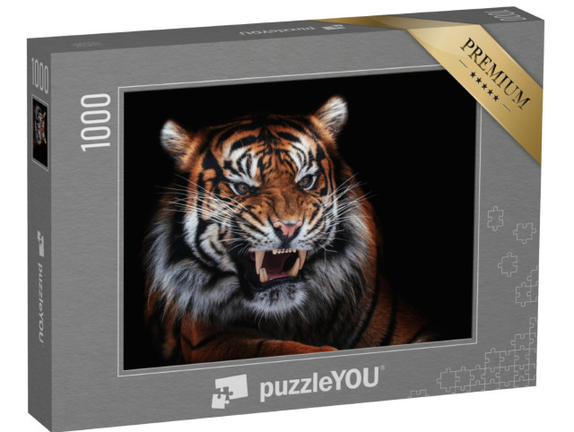 Puzzle 1000 Teile „Sumatra-Tiger, schönes Tier, Porträt“