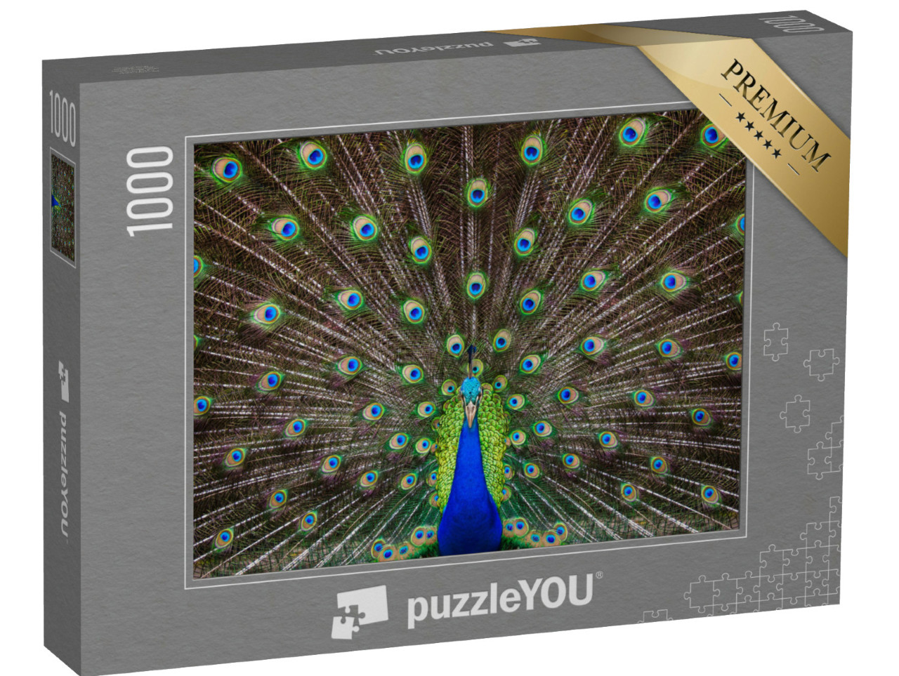 Puzzle 1000 Teile „Porträt eines Pfaus mit ausgefahrenen Federn“