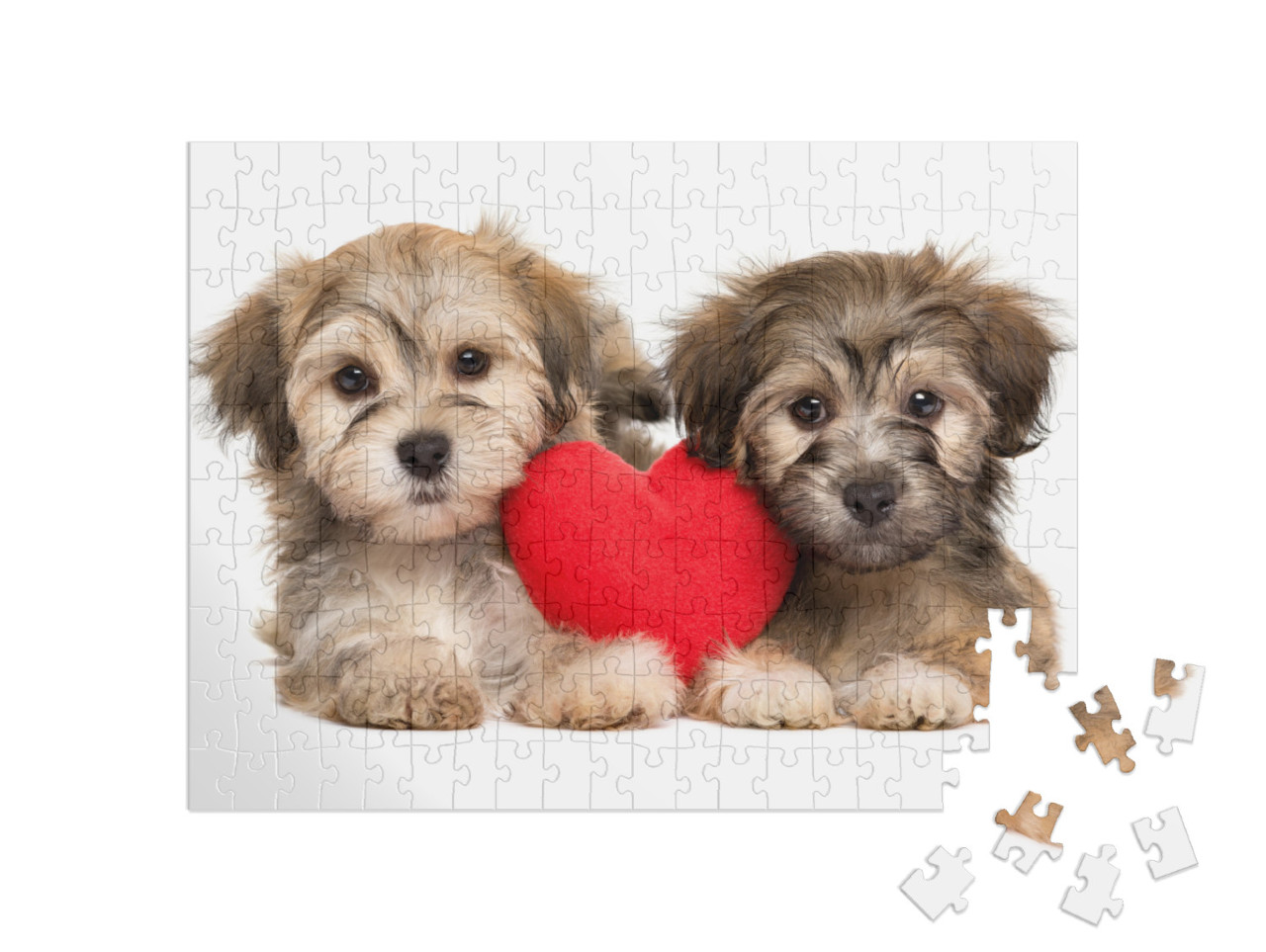 Puzzle 200 Teile „Havaneser Welpen“